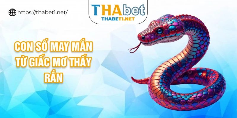 Con số may mắn từ giấc mơ thấy rắn